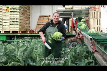A daily trip with a french cauliflower grower!