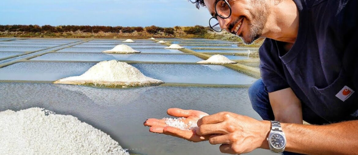 I Thought SALT Was Boring. Boy, Was I wrong.