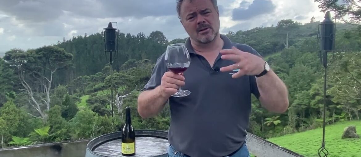 Wine Review: Regnie Grain & Granit Jean Paul & Charly Thevenet 2019 Wine Review: Regnie Grain & Granit Jean Paul & Charly Thevenet 2019