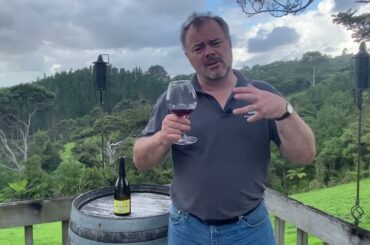 Wine Review: Regnie Grain & Granit Jean Paul & Charly Thevenet 2019