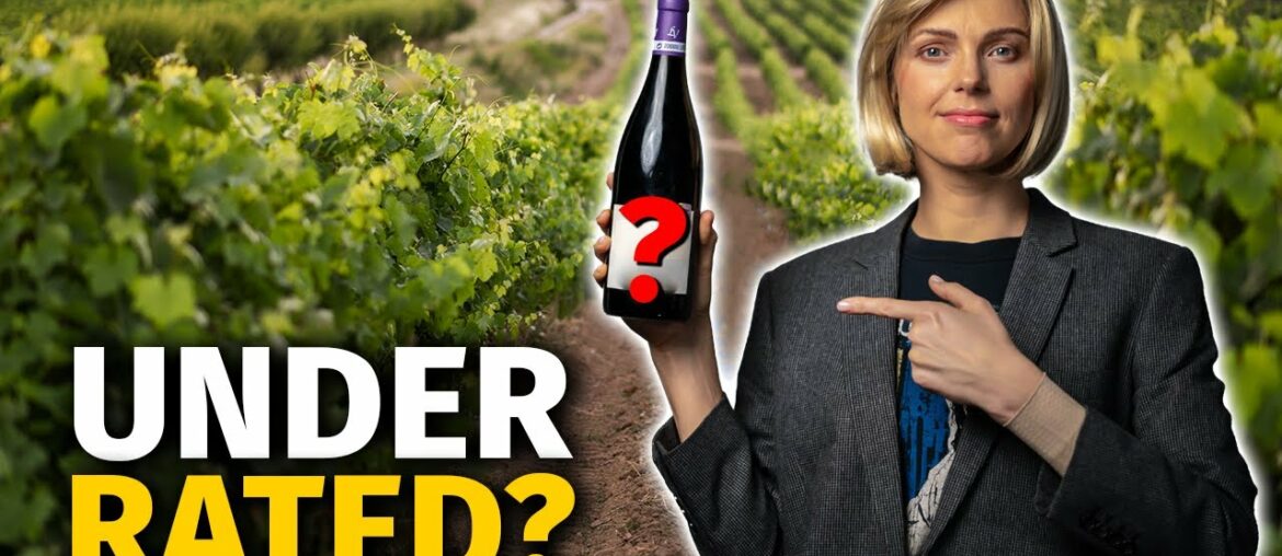 5 UNDERRATED Red Wine Grape Varieties 5 UNDERRATED Red Wine Grape Varieties
