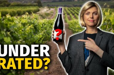 5 UNDERRATED Red Wine Grape Varieties