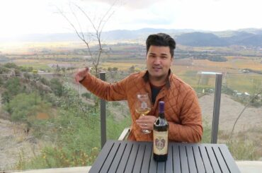 2018 Hertelendy Chardonnay, Ritchie Vineyard