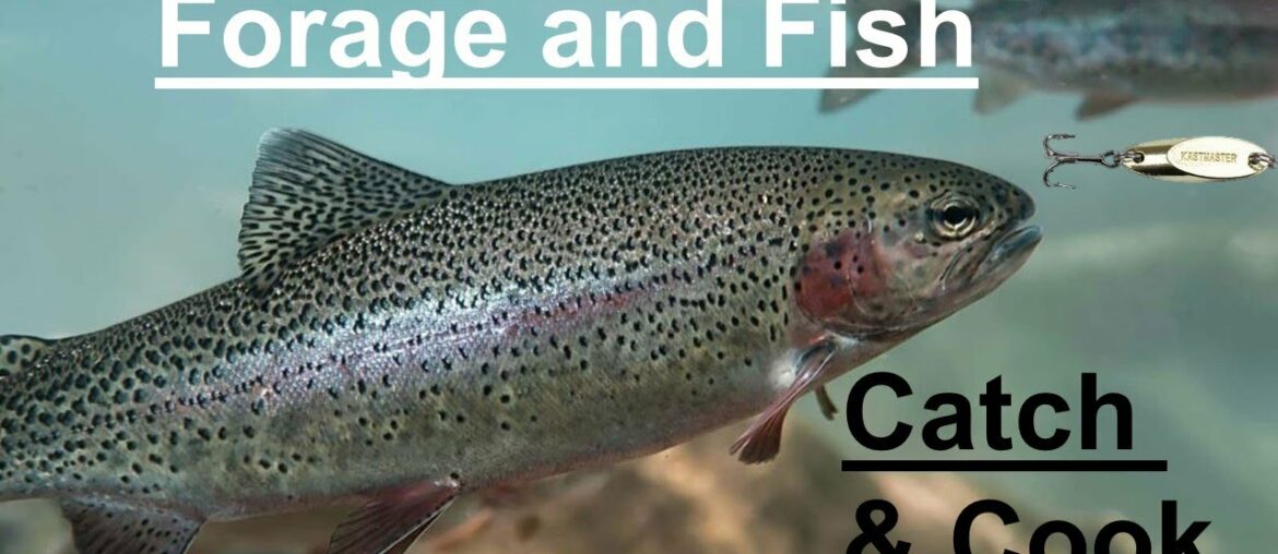Foraging & Trout Fishing: Eastern Sierra Nevada Mountains Foraging & Trout Fishing: Eastern Sierra Nevada Mountains