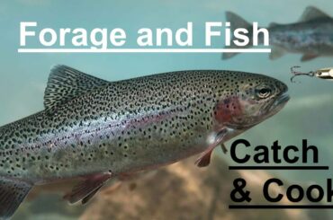 Foraging & Trout Fishing: Eastern Sierra Nevada Mountains