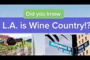 Did you know L.A. is Wine Country!???