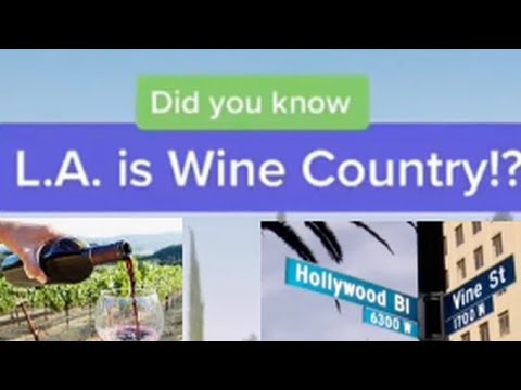 Did you know L.A. is Wine Country!??? Did you know L.A. is Wine Country!???