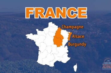 10 Day Wine Tour in France: Champagne, Burgundy and Alsace