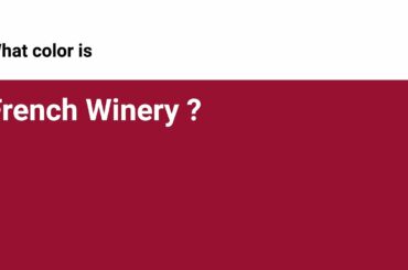French Winery color #991133 hex color - Red color - Cool color 991133