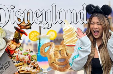 What I Eat & Spend in a Day at Disneyland!!