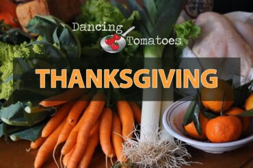 Here is How We Do Thanksgiving  in France