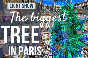 Full light show in 4K - the 2023 Galeries Lafayette Christmas Tree, Paris France