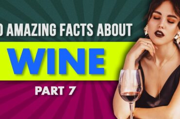 10 Interesting Facts About Wine You've Never Heard Before