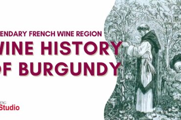 WSG Studio - Wine History of Burgundy