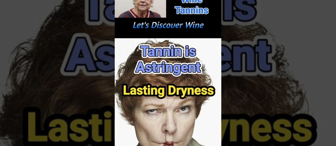 Tasting Wine Tannins @Let's Discover Wine (108b) #wine #tannin #tannicwine #bitterwine #shorts