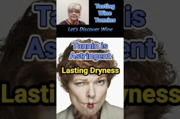 Tasting Wine Tannins @Let's Discover Wine (108b) #wine #tannin #tannicwine #bitterwine #shorts