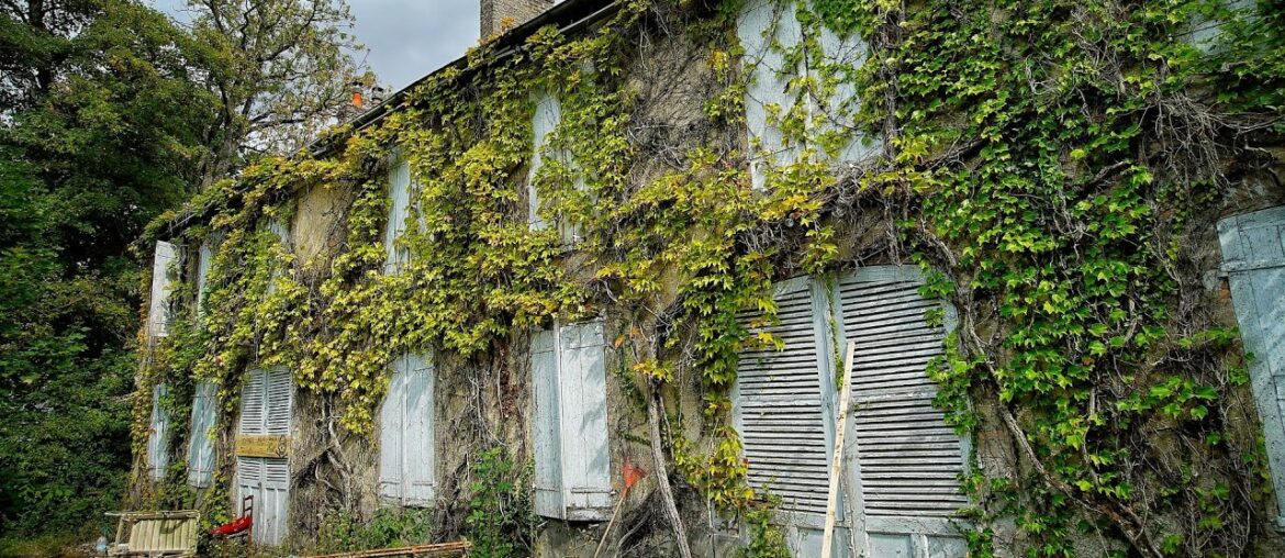 ABANDONED HOUSE OF A FRENCH HOARDER FROZEN IN TIME WITH EVERYTHING LEFT BEHIND ABANDONED HOUSE OF A FRENCH HOARDER FROZEN IN TIME WITH EVERYTHING LEFT BEHIND