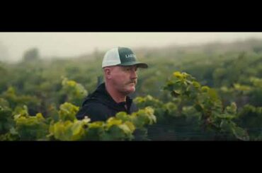 Laetitia: A Legacy of Sparkling