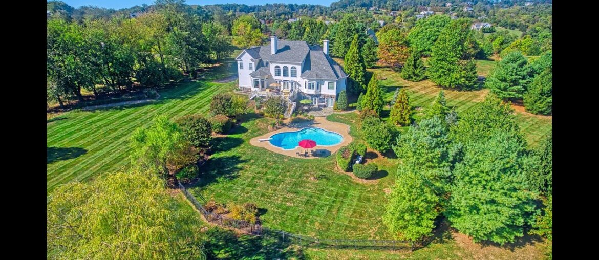 17238 Winning Colors 17238 Winning Colors