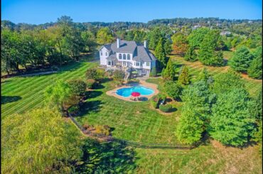 17238 Winning Colors