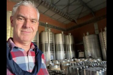 New French Oak Barrels at the Lermonos Winery (Radoux)