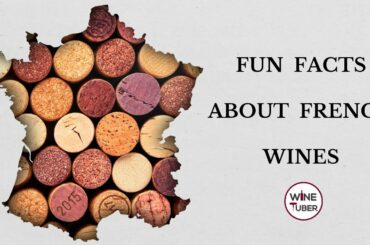 Fun facts about French wines | @WineTuber