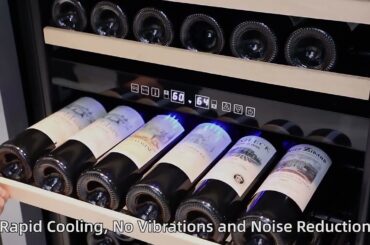 Wholesale Built-In Dual Zone SS French Door Wine Cooler ZS-B120 for Wine Storage with Beech Wooden