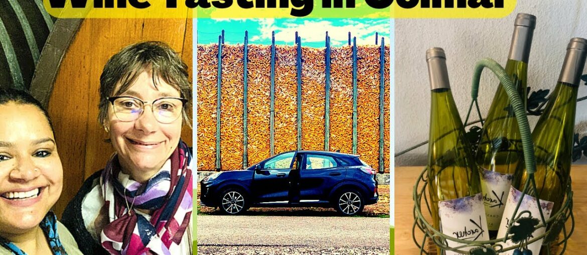 Hotel IBIS Est COLMAR | Wine Tasting | MEDIEVAL WINE CELLAR of Alsace | Driving in France  | Vlog