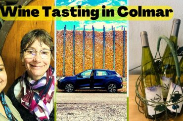 Hotel IBIS Est COLMAR | Wine Tasting | MEDIEVAL WINE CELLAR of Alsace | Driving in France  | Vlog