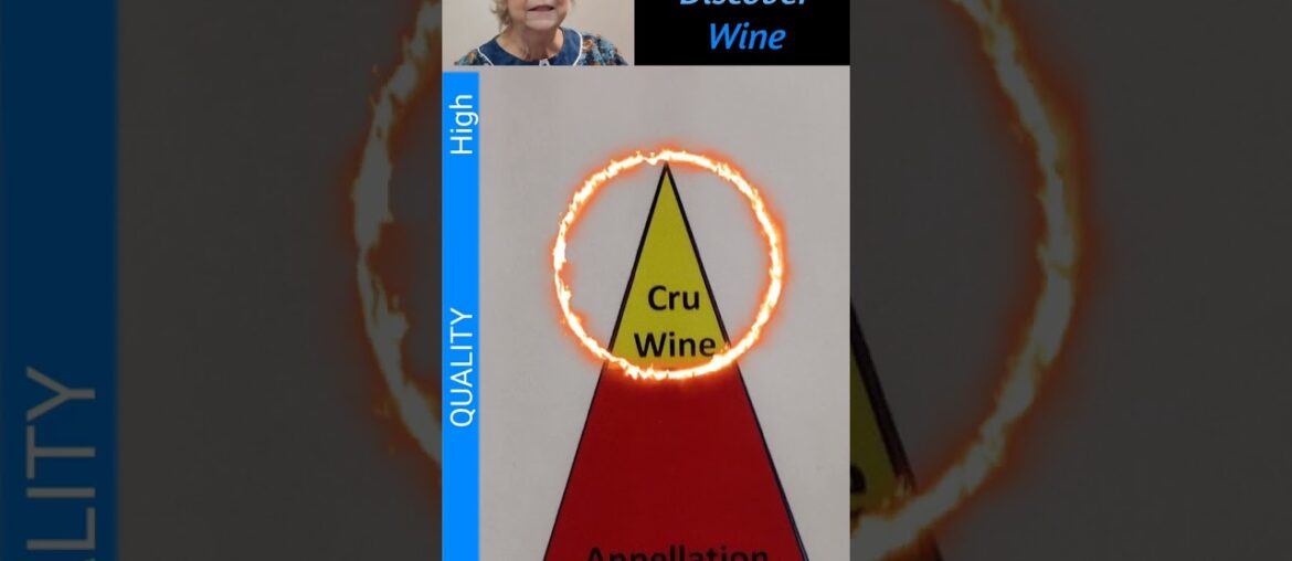 What is a wine Cru? @Let's Discover Wine (104b) #wine #winecru #cruwine #cru #winetasting #shorts What is a wine Cru? @Let's Discover Wine (104b) #wine #winecru #cruwine #cru #winetasting #shorts