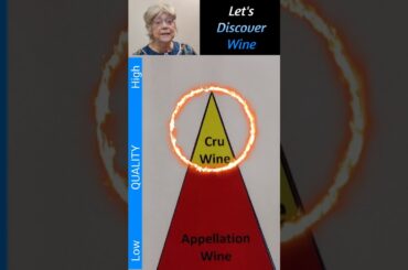 What is a wine Cru? @Let's Discover Wine (104b) #wine #winecru #cruwine #cru #winetasting #shorts