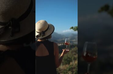 Wine Tasting and the Vineyard Tour in Nice