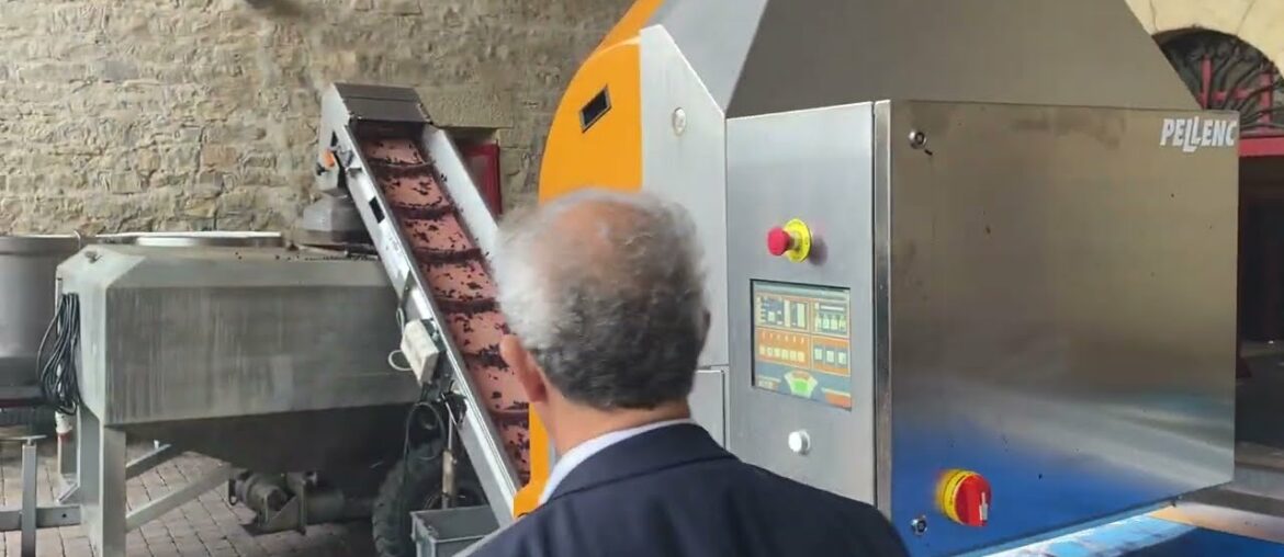 Destemmed Grapes & an Optical Sorter at Marques de Riscal in Rioja Destemmed Grapes & an Optical Sorter at Marques de Riscal in Rioja