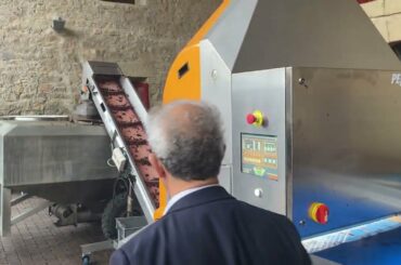 Destemmed Grapes & an Optical Sorter at Marques de Riscal in Rioja