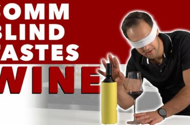 Somm Blind Tastes Two Wines - Will He Get Them Right? Find Out!