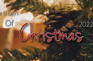 12 Days Of Christmas Trailer | 2022