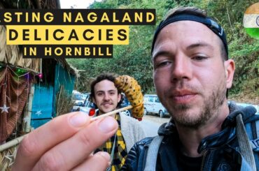 Colombian & French dudes trying DOG, SILKWORMS and RICE BEERS in Hornbill fest