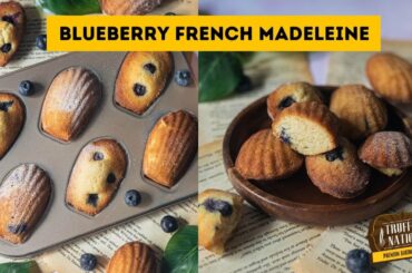 Easy to Make Best Blueberry French Madeleine Recipe - How To Make French Madeleine Cakes