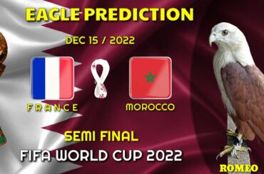 France vs Morocco | Semi Final | World Cup 2022 | Eagle Prediction