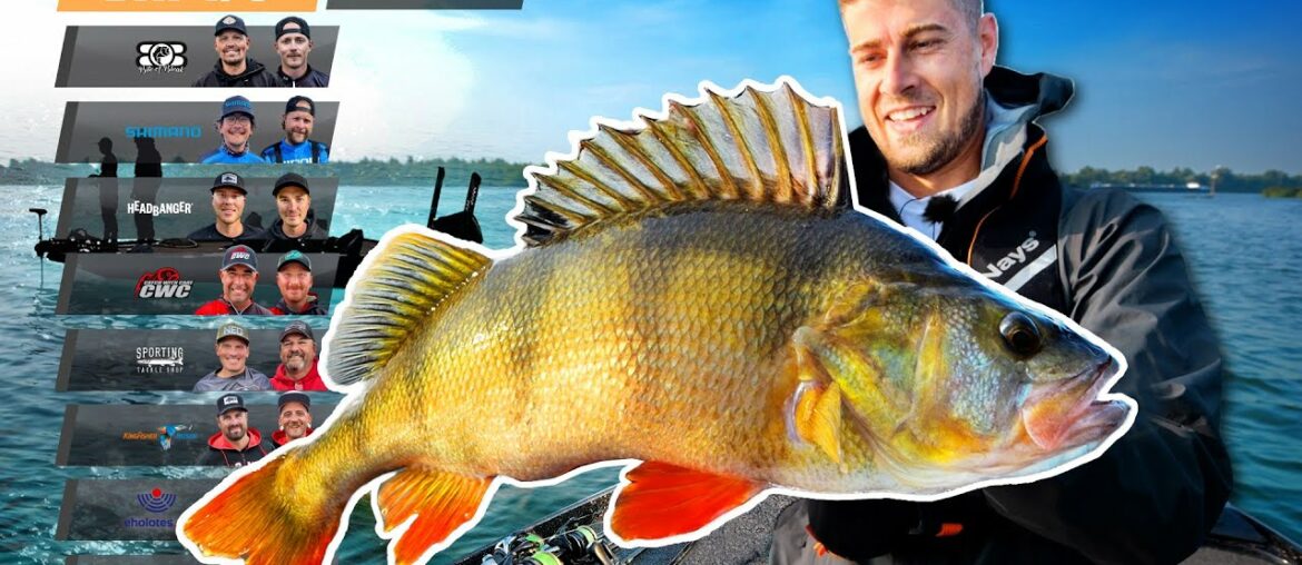 PERCH PRO 9 – Episode 1 PERCH PRO 9 - Episode 1