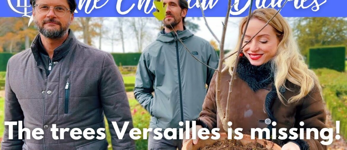 Planting MARIE-ANTOINETTE's TREE at our FRENCH CASTLE! Planting MARIE-ANTOINETTE's TREE at our FRENCH CASTLE!