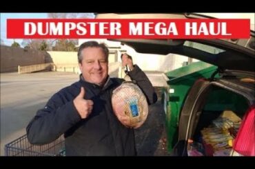 DUMPSTER DIVING AT ALDI FOR A PRE CHRISTMAS MEGA HAUL
