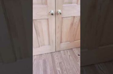 CST Lyserod (pink) is the best selling label (for now) - followed closely by the Bla (blue)...