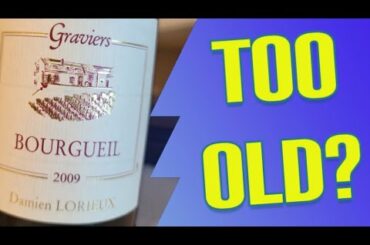 Too Old? - Damien Lorieux 2009 Bourgueil Graviers