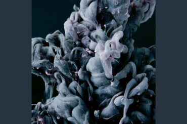 Suave Backdrops for Relaxing Together