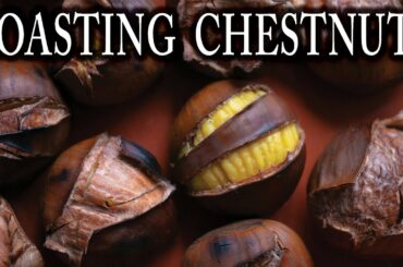 Have You Ever Roasted Chestnuts? We Did!! - 18th Century Cooking