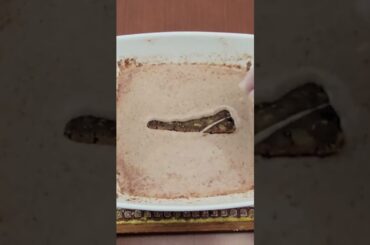 Vegan Brownie French Toast sticks with Walnuts and Basil Syrup great recipe idea