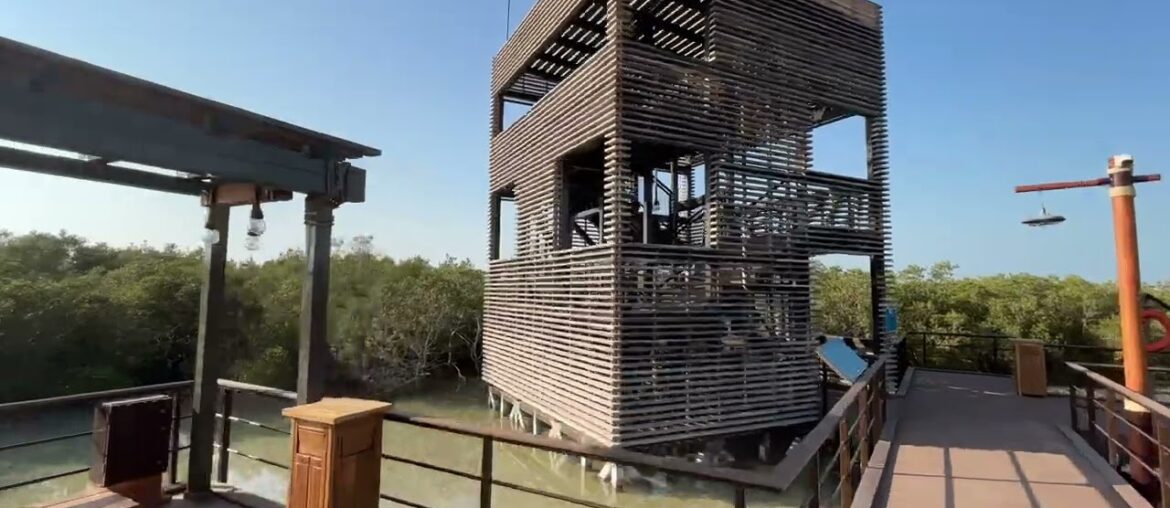 DRONE MANGROVE ABUDHABI VLOG