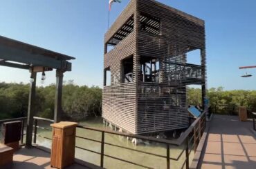 DRONE MANGROVE ABUDHABI VLOG