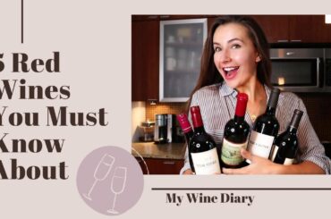 5 RED WINES YOU MUST KNOW